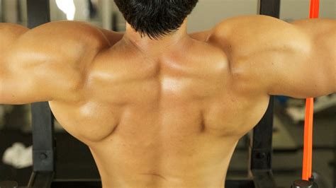 V-Shape Back Workout - YouTube