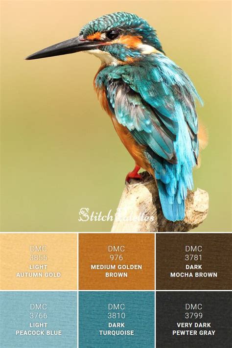 Blue Kingfisher | Orange color palettes, Blue colour palette, Gold color palettes