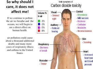 What are the disadvantages of carbon dioxide? | Science online