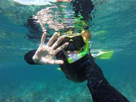 Manly Snorkeling Tour - Book direct with Ecotreasures