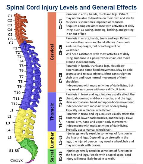 What is a Cervical Spinal Cord Injury? | Hamilton Personal Injury Lawyers