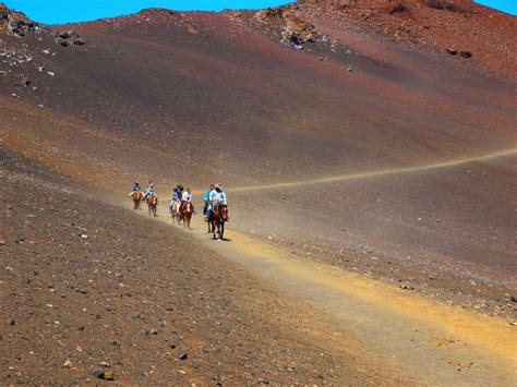 Maui Horse Back Riding - Luana Kai Mauii Vacation Rentals