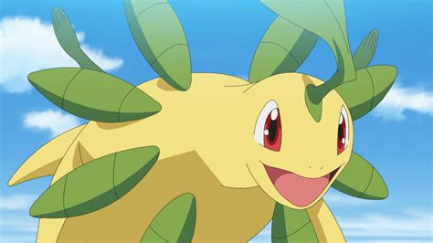 Ash's Bayleef | Pokémon Wiki | Fandom powered by Wikia