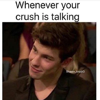 Crush | What does Shawn Mendes think of you? | Crush humor, Crush memes ...