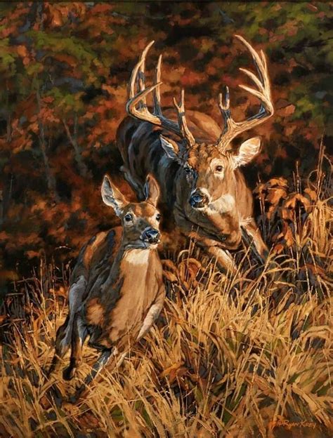 Pin by Joyce Brown on Deer & Wildlife | Wildlife art, Deer art, Wildlife paintings