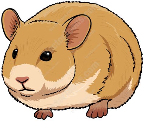 Free Hamster Wheel Cliparts, Download Free Hamster Wheel Cliparts png images, Free ClipArts on ...