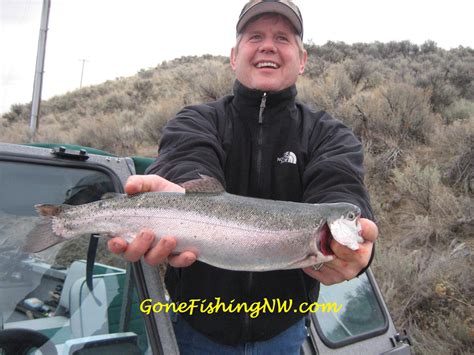 Understanding Stillwater Trout – Part 9: Adapting to Conditions – Gone ...