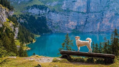 Best Hiking Trails In Switzerland: TripHobo