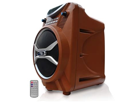 300W Bluetooth Portable PA System