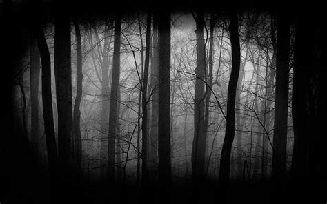 Dark Forest Wallpapers - Wallpaper Cave