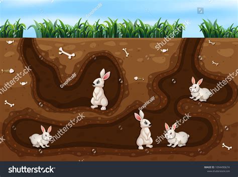 544 Rabbit den Images, Stock Photos & Vectors | Shutterstock