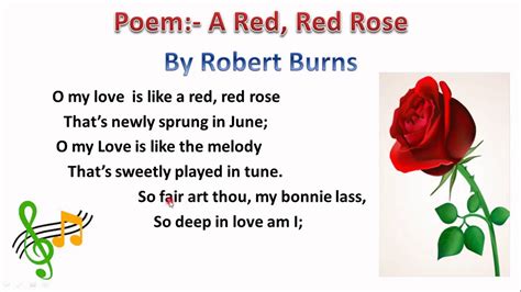 Poem A Red Red Rose by Robert Burns - YouTube