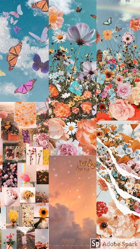 Aesthetic butterfly flower, butterfly collage HD phone wallpaper | Pxfuel