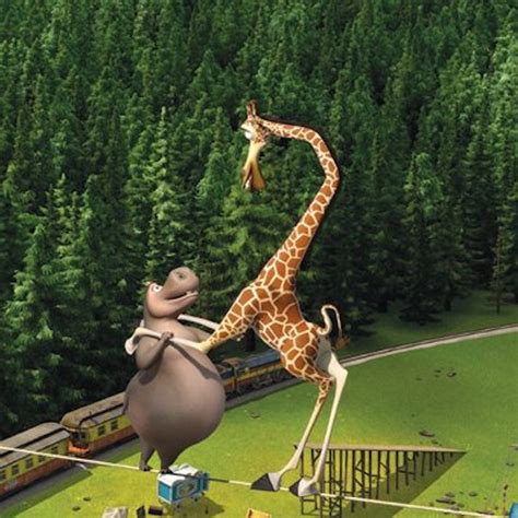 Image - Melman and Gloria dancing on the tightrrope.jpg | Heroes Wiki | FANDOM powered by Wikia