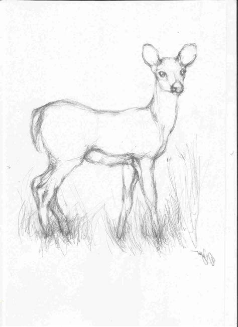 Likable Suggestions How To Draw Easy Step By Step Animals Realistic Cute Things To Draw Easy ...