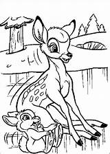 Bambi coloring page For Kids  Coloring Pages sketch template