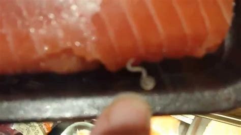 Live worms on salmon at Byerly's - YouTube