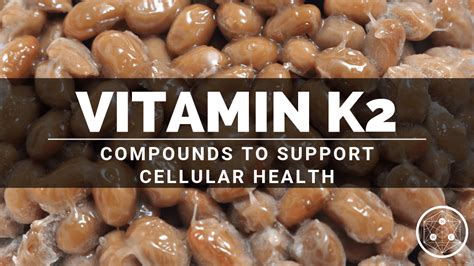 What is Vitamin K2? An Exploration of its Benefits