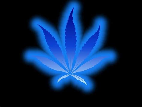 Weed Leaf Wallpapers Blue - Wallpaper Cave