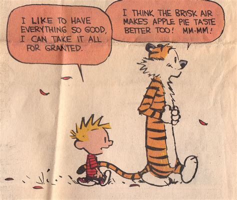 Calvin and Hobbes QUOTE OF THE DAY (DA): "I like to have everything so good, I can take it ...