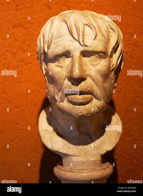 Roman bust said of Seneca preserved in museum, Auch, Gers, Midi-Pyrenees, France Stock Photo - Alamy