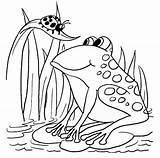 Frog Coloring Pages sketch template