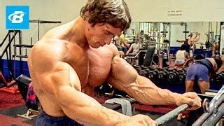 Arnold Schwarzenegger Workout Routine For Mass | Blog Dandk