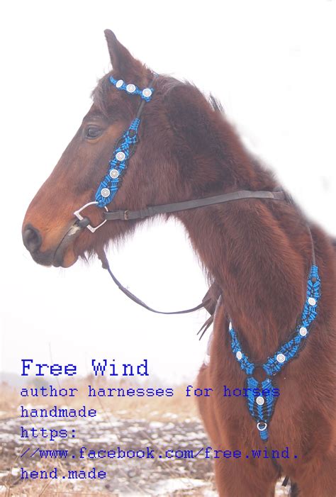 Western bridle Western Bridles, Tack, Westerns, Horses, Reference ...