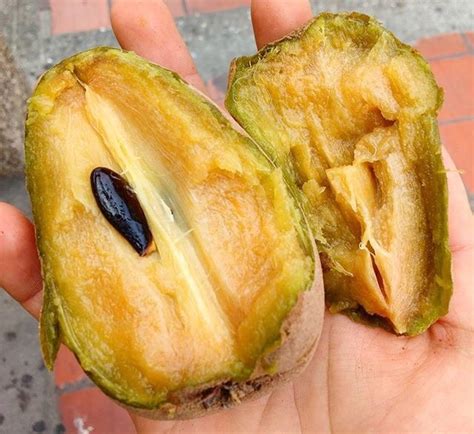 Chico: The Delicious Brown Fruit Eaten in the Philippines!