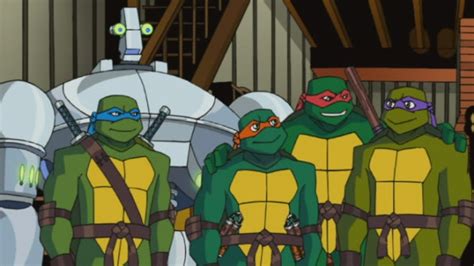 Watch Teenage Mutant Ninja Turtles Season 7 Episode 13: Wedding Bells ...