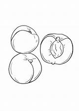 Page Entière coloriage Pêches Impression Gratuite sketch template
