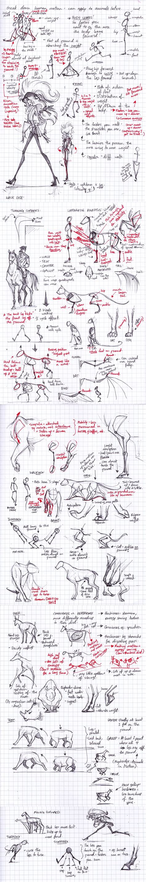 So You Want to be An Animator? | Drawing tutorial, Drawings, Art tutorials