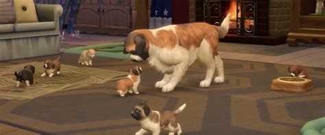 Cats & Dogs Living Together in The Sim 4 Update Available Now | Shacknews