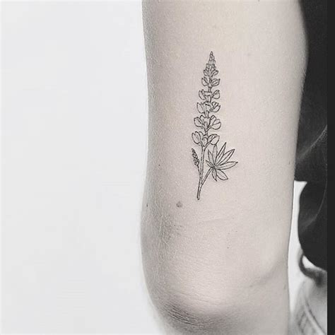 Lupine flower tattoo by lindsay april - Tattoogrid.net