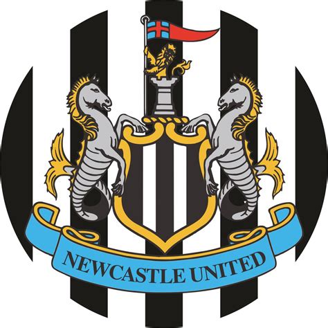 Newcastle Fc Isolation : Aston Villa Vs Newcastle Postponed After Significant Coronavirus ...