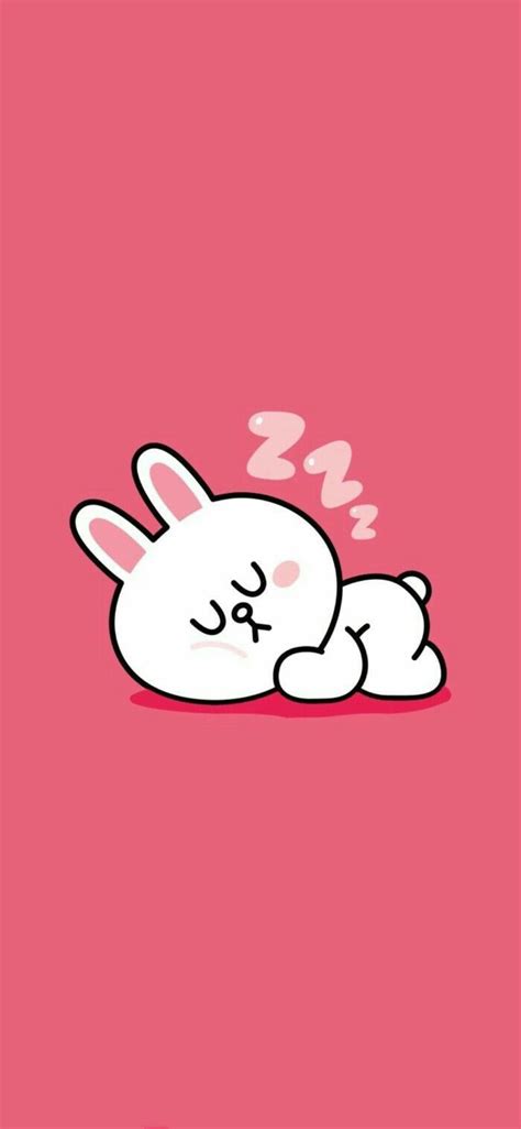 Line Cony (#2857804) - HD Wallpaper & Backgrounds Download