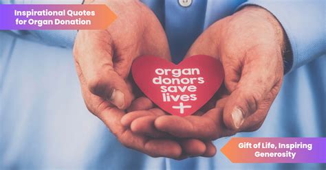 50 Inspirational Quotes For Organ Donation: Gift of Life, Inspiring Generosity - Lets Learn Slang