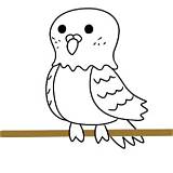 インコのイラストを簡単に 手書きでの書き方は  イラストの簡単な書き方あつめました sketch template