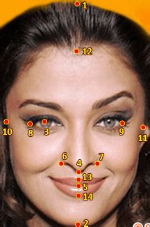 Golden Ratio Face Calculator – EliteHomeWorkouts