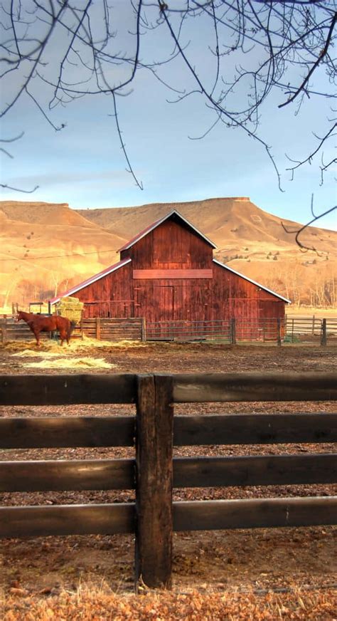 Download Red Old Barn In The Farm Wallpaper | Wallpapers.com