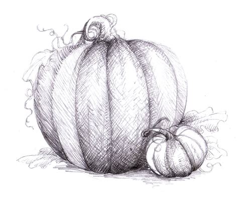 a drawing of two pumpkins on the ground