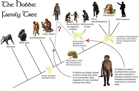 Denisovan - Alchetron, The Free Social Encyclopedia