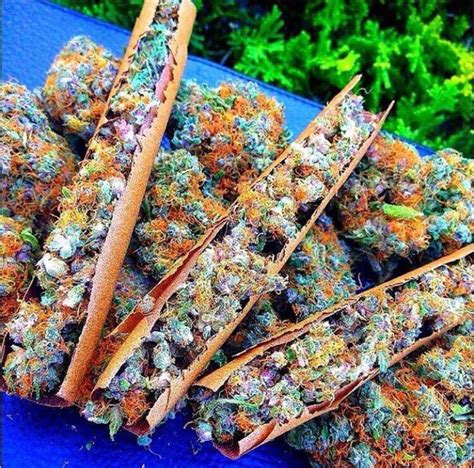 6 of the Most Beautiful Cannabis Strains in Existence
