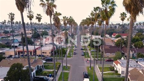 Los Angeles Southern California Ghetto Hood Palm Trees Aerial Drone [2k ...