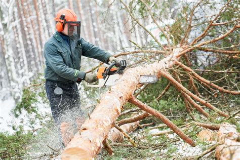 Essential Chainsaw Safety Gear - Timberland Supply