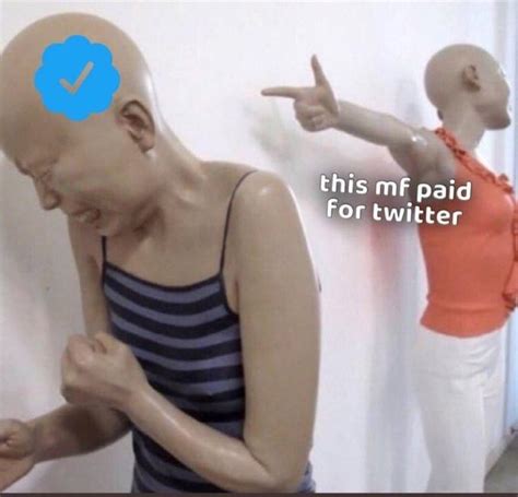 mf paid for twitter | Twitter $8 Blue Checkmark | Know Your Meme