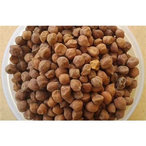 Grams Seed at Rs 50/kilogram | Gram Seed in Indore | ID: 15358561388