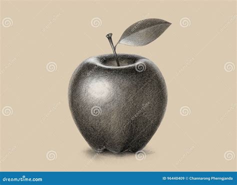 Pencil Drawing Apple