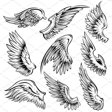 Bird Wings Black White Set #wings#shape#open#bird Wings Sketch, Wings ...