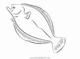 Flounder 5 Coloring Page For Kids  Free Flounders Printable sketch template